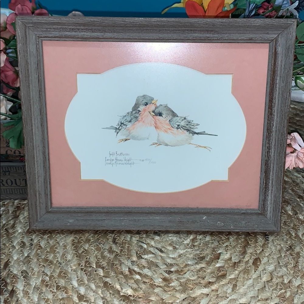 Carolyn Shores Wright Signed Numbered Framed Bird Print Soft Feathers 1987 Vtg